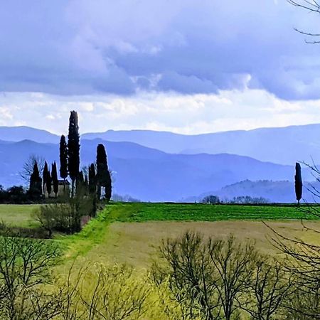 Tuscan Hills Near Florence - Stone House Vicchio Exteriör bild