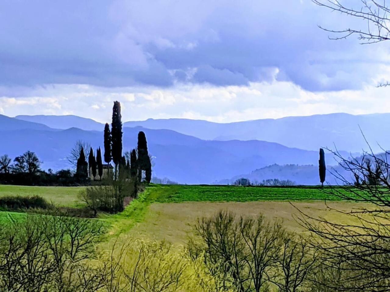 Tuscan Hills Near Florence - Stone House Vicchio Exteriör bild